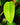 Syngonium schottianum