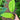 Syngonium schottianum