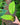 Syngonium schottianum