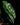 Alocasia x 'Chantrieri'