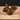 Amorphophallus albus tuber7