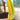 Amorphophallus albus inflorescence
