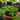 Amorphophallus myosuroides plant