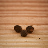 Amorphophallus ongsakulii tuber1