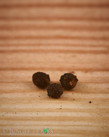 Amorphophallus ongsakulii tuber1