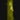 Anchomanes difformis
