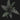 Apoballis acuminatissima