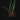 Aridarum 'Long Leaf' (Burttianthus veluntandrus)