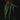Aridarum 'Long Leaf' (Burttianthus veluntandrus)