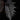 Begonia sp. Miri