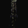 Ceropegia woodii