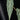Cissus amazonica