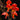 Columnea gloriosa