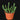 Euphorbia inermis