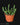 Euphorbia inermis
