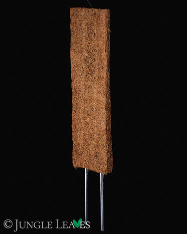 Flachstab aus Kokos