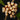 Hoya callistophylla