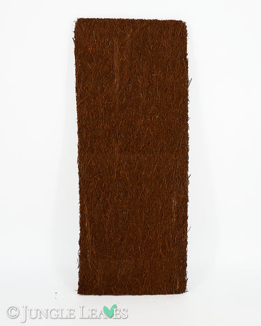 Xaxim Plate Tree Fern