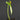 Microchirita micromusa