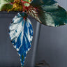 Begonia sp. 'Temuyuk'