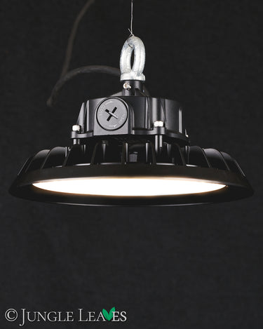 Jungle Lux Highlight80 W (64+48 W), 60°