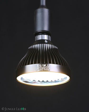 Jungle Lux Spot 20W
