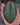 Labisia sp. 'Snake Skin' 'Dino' (Ardisia aff. obovatifolia)