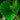 Blattstiel mit neuem Blatt