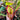 Nepenthes rajah