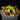 Nepenthes villosa BCP