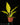 Philodendron 'Golden Saw'