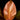 Philodendron McColley's Finale
