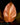 Philodendron McColley's Finale