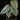 Philodendron brandtianum