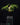 Philodendron tortum