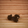 Sauromatum horsfieldii tuber