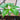 Sauromatum venosum lake tana leaf2