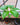 Sauromatum venosum lake tana leaf2