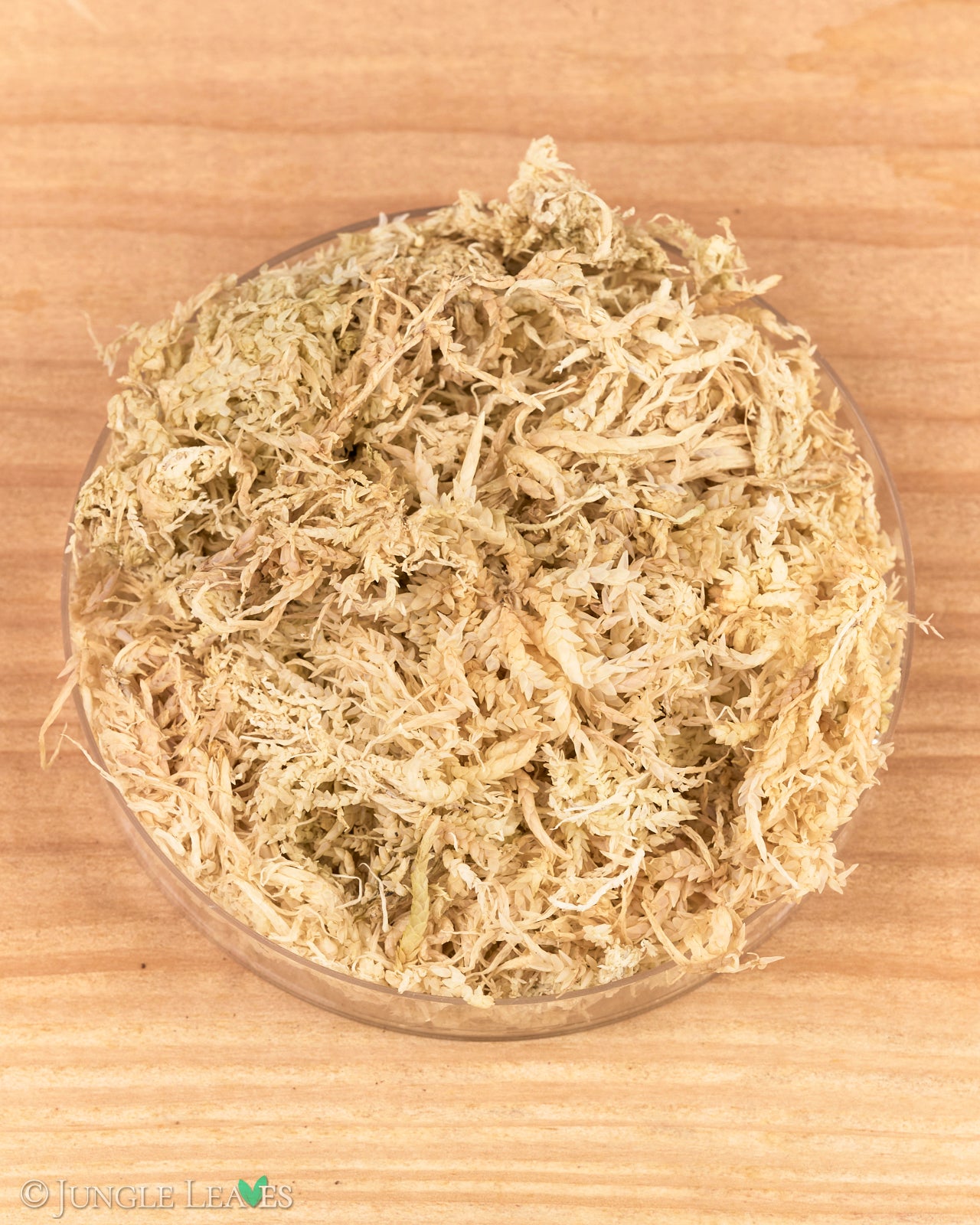 Sphagnum-Moos aus der EU ab 7,99€