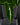 Syngonium wendlandii
