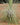 Tillandsia fuchsii var. gracilis