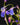 Utricularia babui