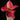 Aglaonema Red Pink Mix