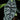 Alocasia sinuata