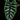 Alocasia sinuata