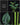 Amorphophallus fallax