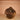 Amorphophallus fuscus tuber2