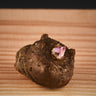 Amorphophallus henryi