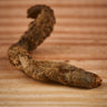 Amorphophallus impressus tuber