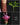 Amorphophallus konjac